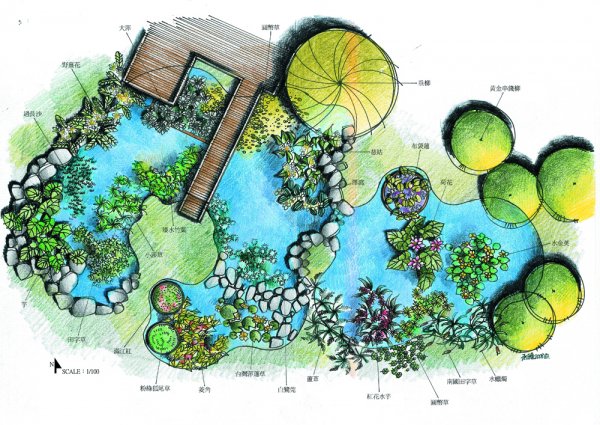 水生植物園設計-承臻